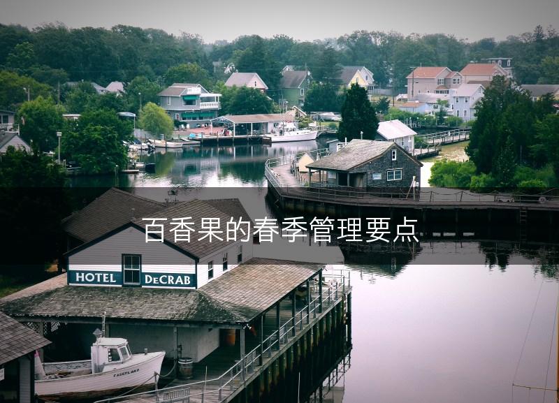 百香果的春季管理要点(图1)