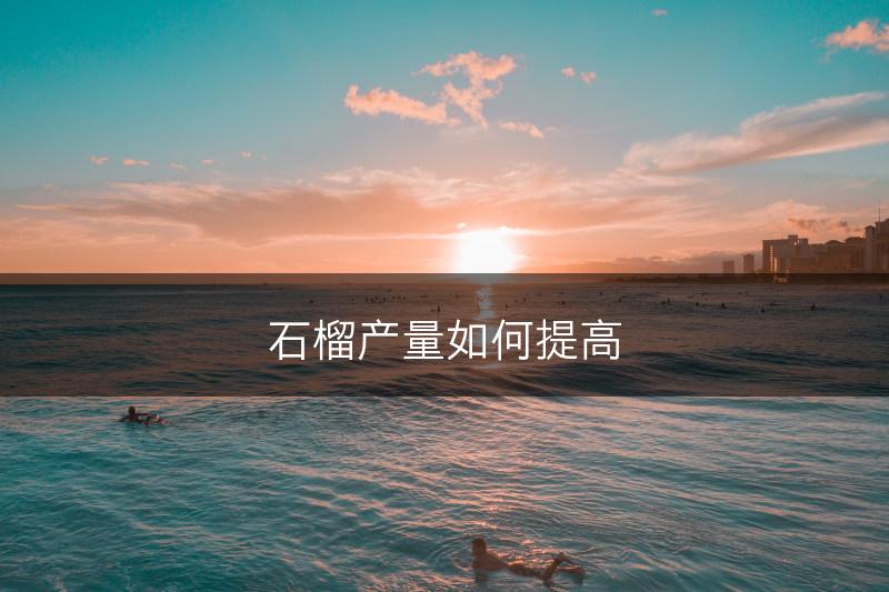 石榴产量如何提高(图1)