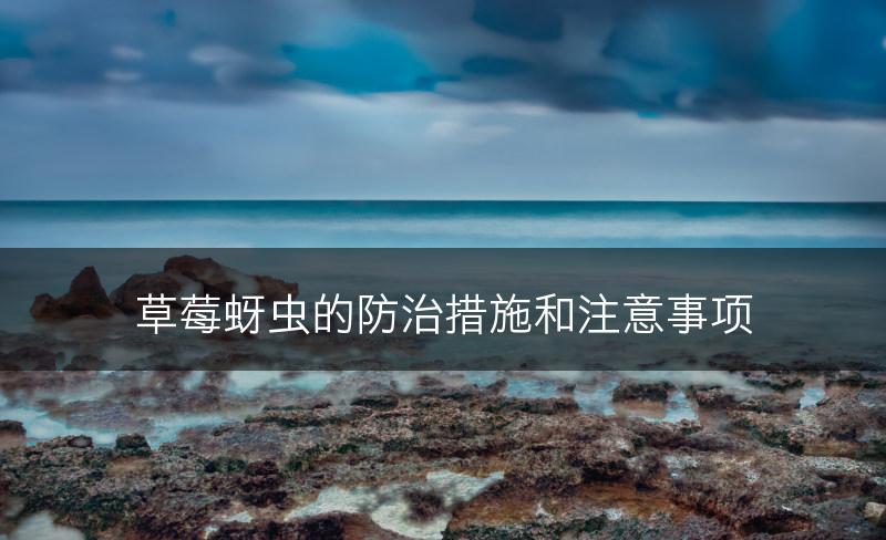 草莓蚜虫的防治措施和注意事项(图1)