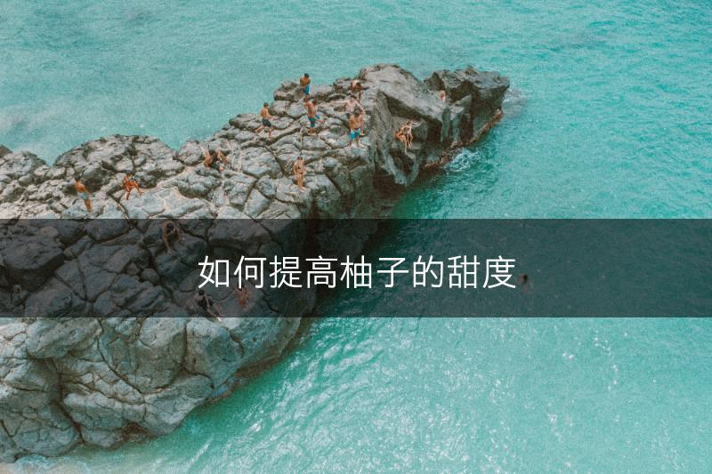 如何提高柚子的甜度(图1)