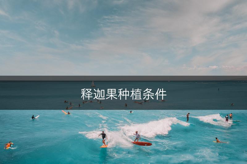 释迦果种植条件(图1)