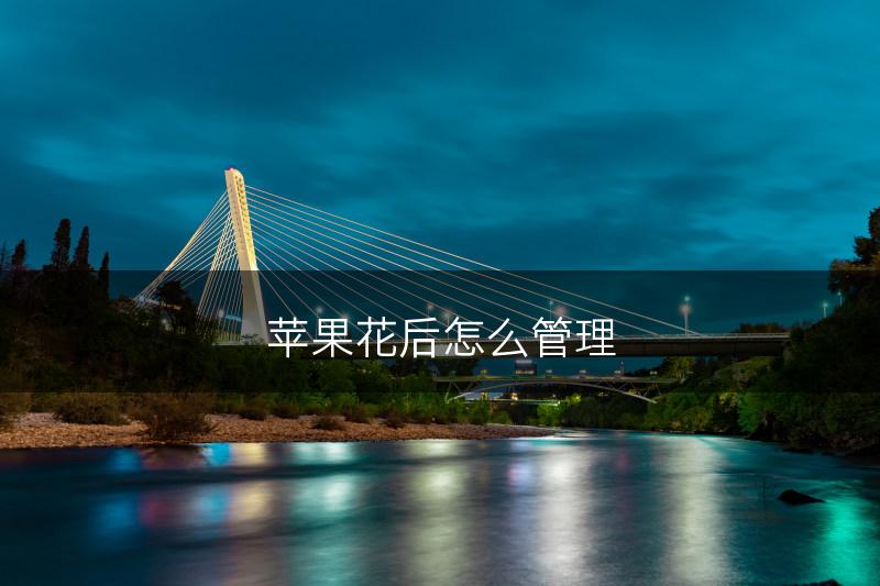 苹果花后怎么管理(图1)