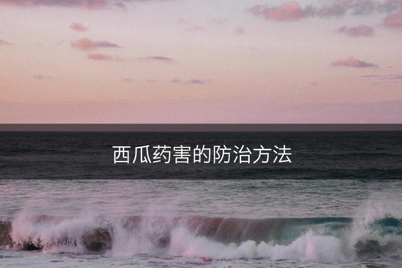 西瓜药害的防治方法(图1)