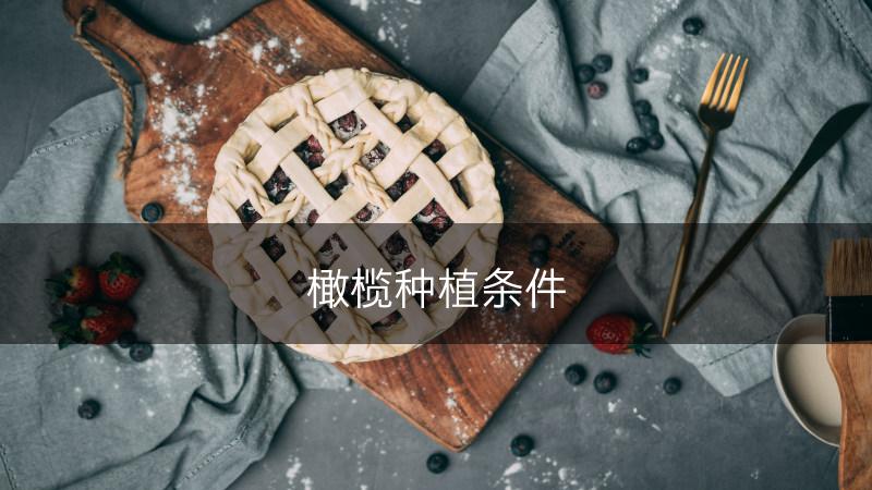 橄榄种植条件(图1)