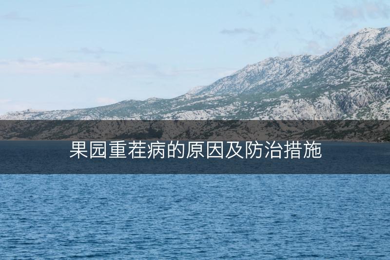 果园重茬病的原因及防治措施(图1)