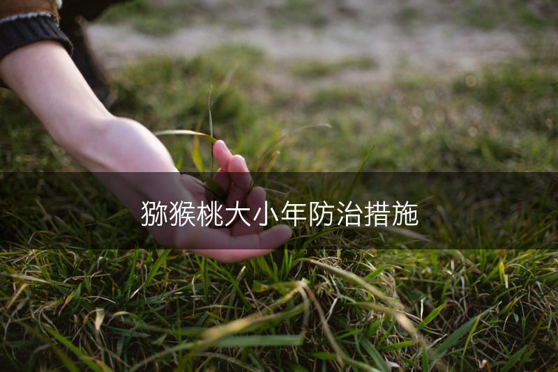 猕猴桃大小年防治措施(图1)
