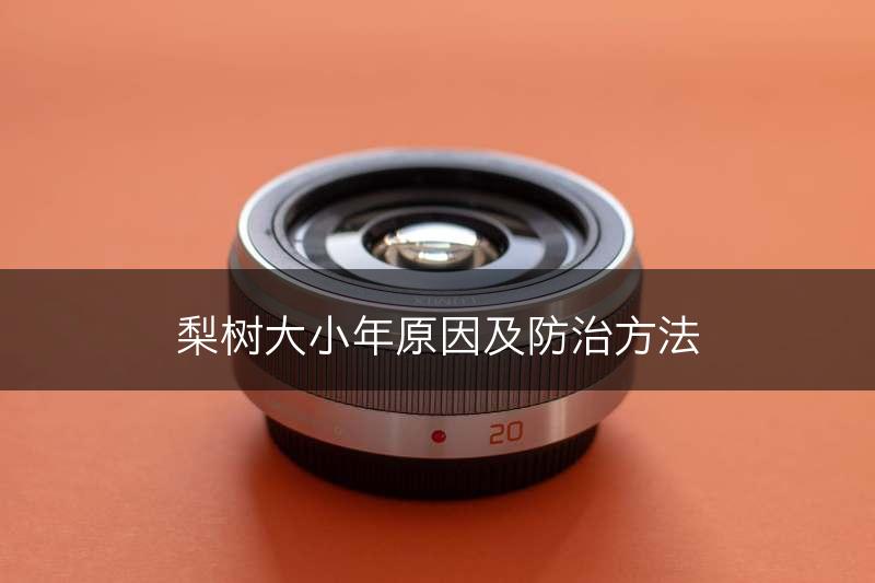梨树大小年原因及防治方法(图1)