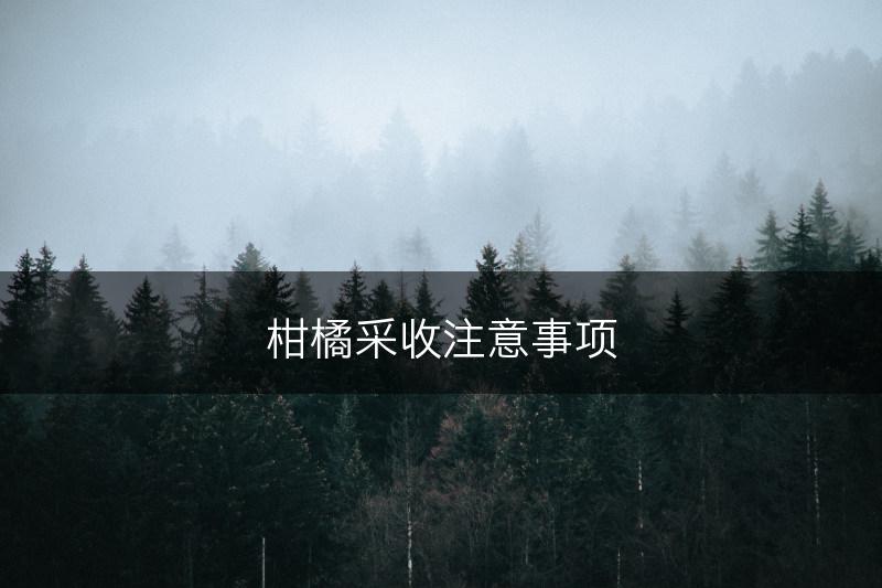 柑橘采收注意事项(图1)