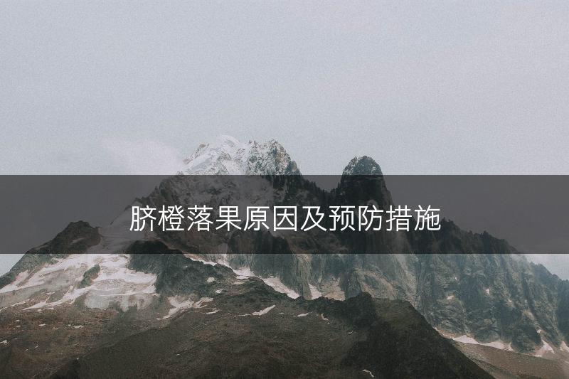 脐橙落果原因及预防措施(图1)