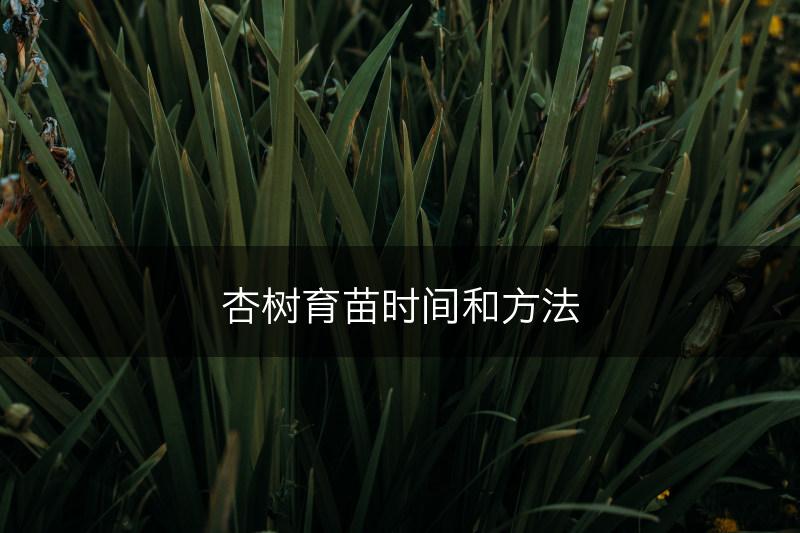 杏树育苗时间和方法(图1)