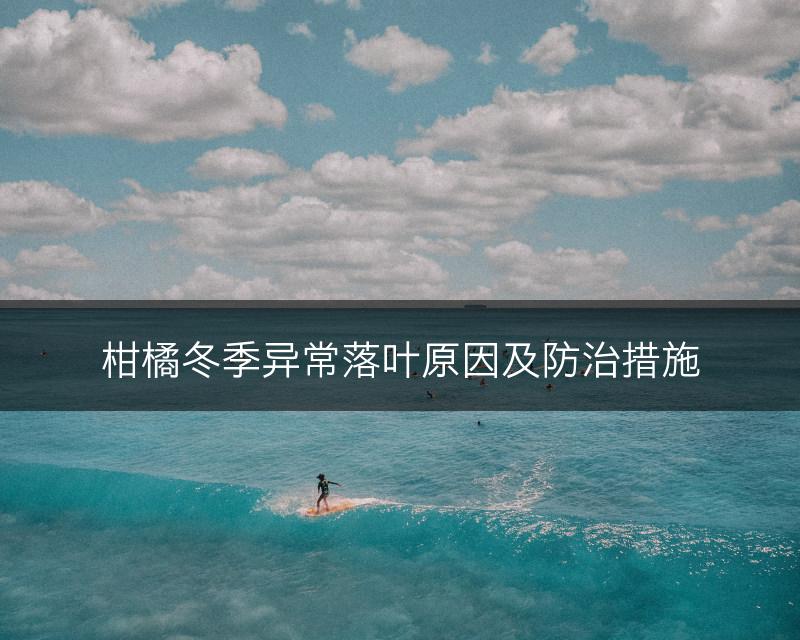 柑橘冬季异常落叶原因及防治措施(图1)