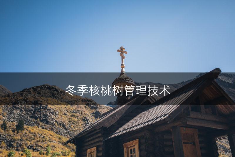 冬季核桃树管理技术(图1)