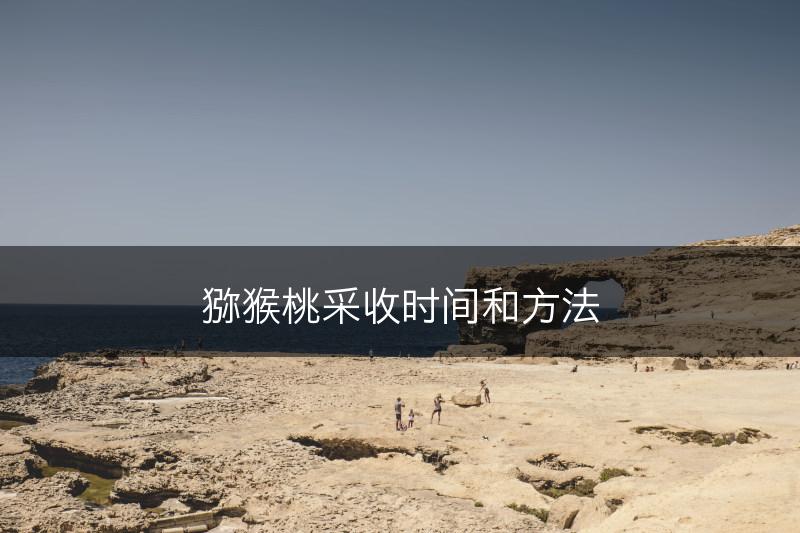 猕猴桃采收时间和方法(图1)