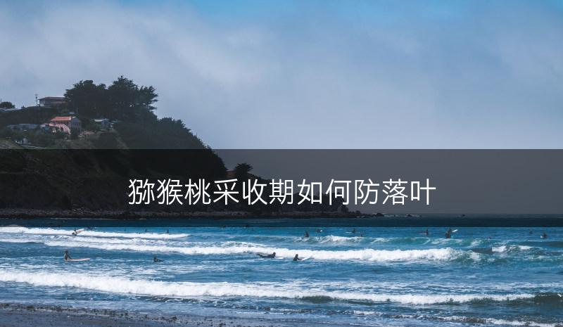 猕猴桃采收期如何防落叶(图1)