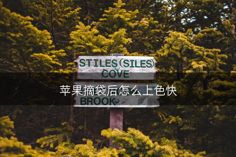 苹果摘袋后怎么上色快(图1)