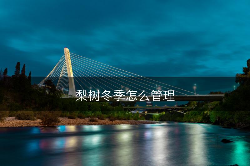 梨树冬季怎么管理(图1)