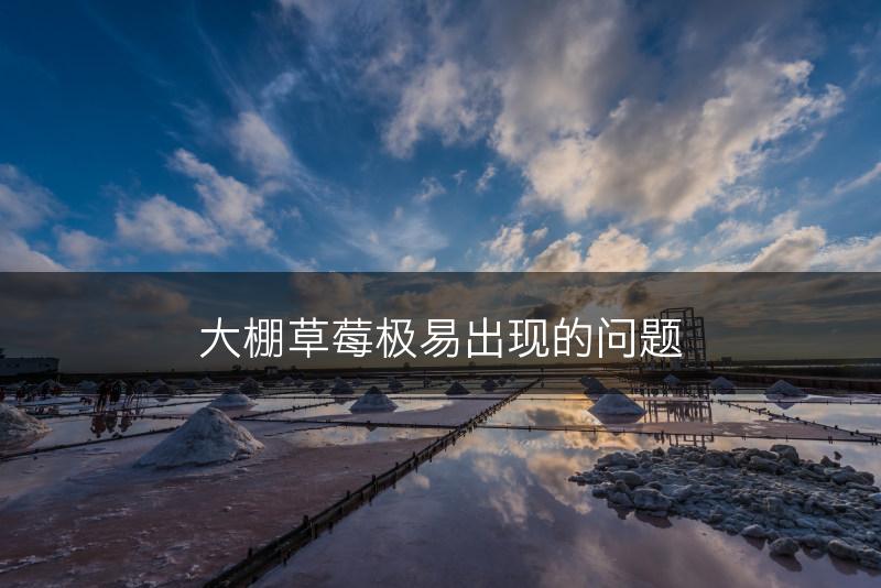 大棚草莓极易出现的问题(图1)