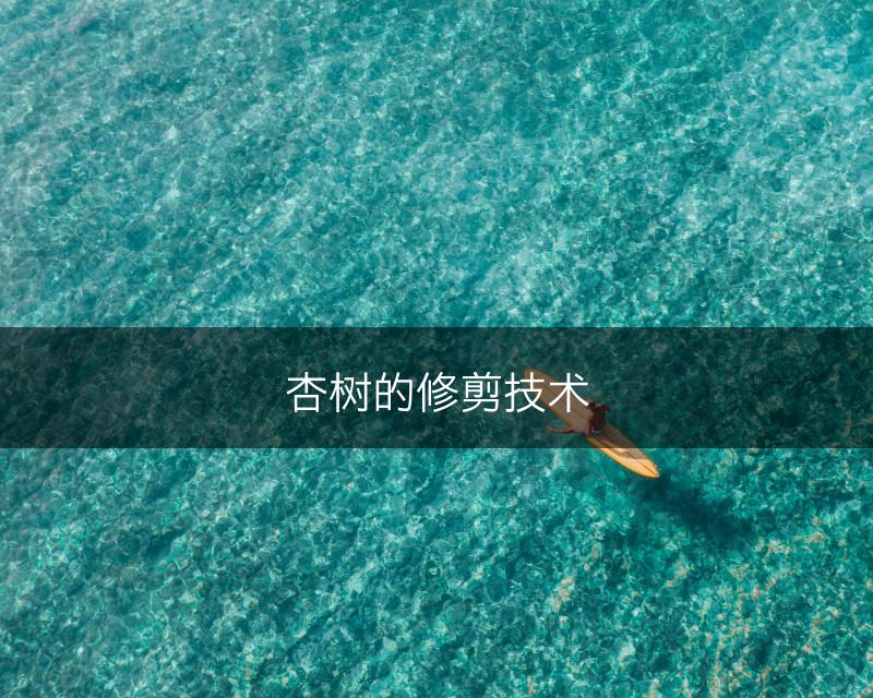 杏树的修剪技术(图1)