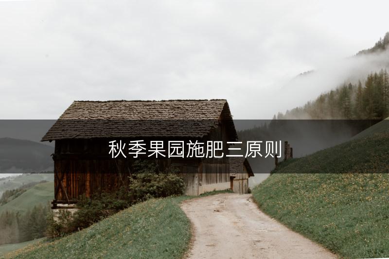 秋季果园施肥三原则(图1)