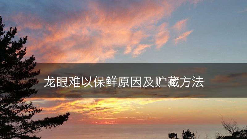 龙眼难以保鲜原因及贮藏方法(图1)