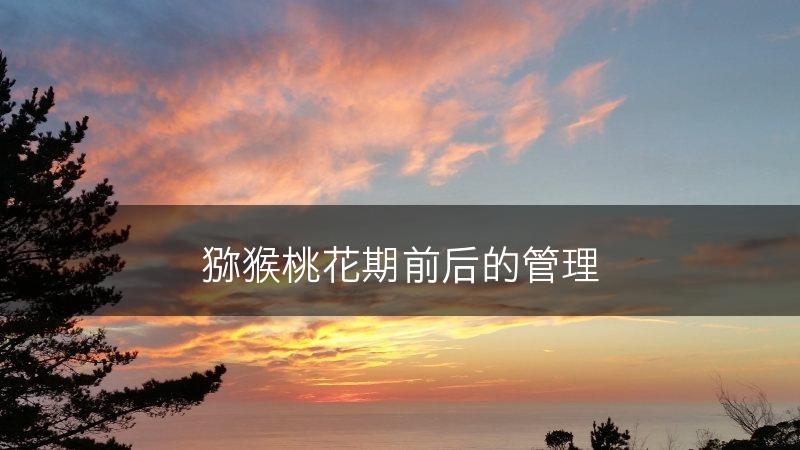猕猴桃花期前后的管理(图1)