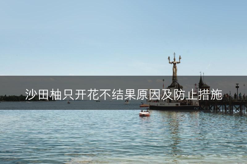 沙田柚只开花不结果原因及防止措施(图1)