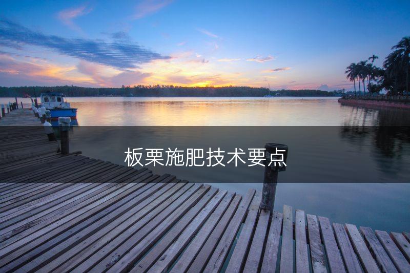 板栗施肥技术要点(图1)