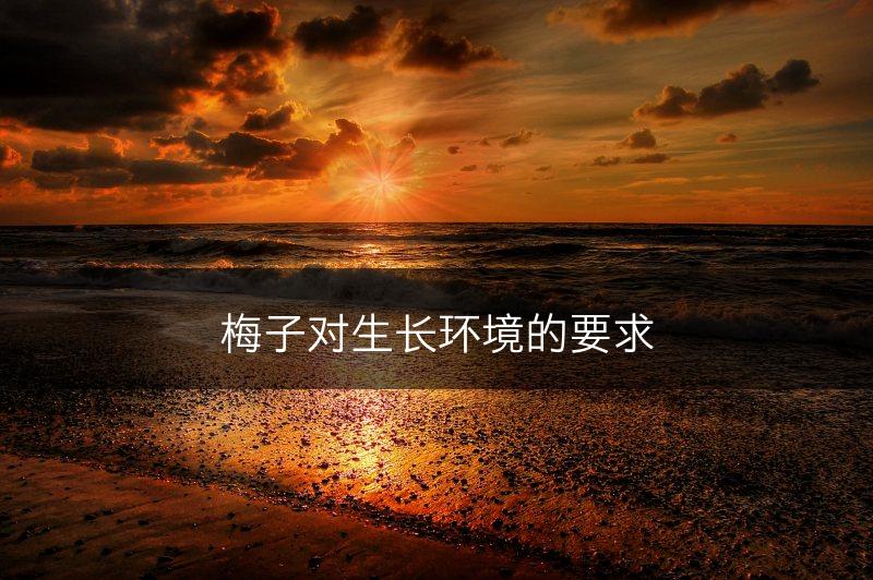 梅子对生长环境的要求(图1)