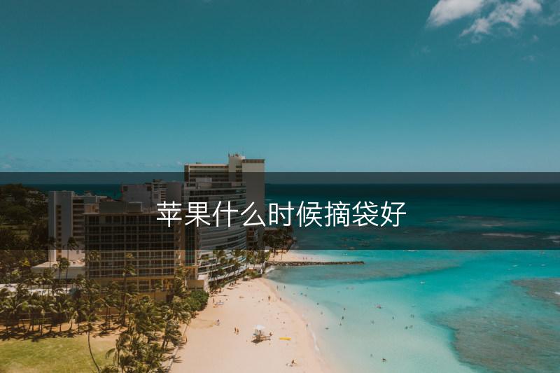 苹果什么时候摘袋好(图1)