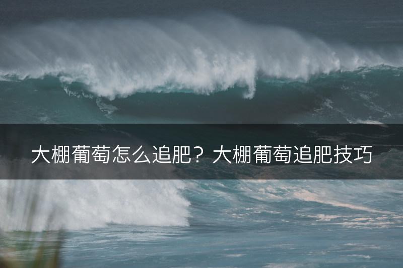 大棚葡萄怎么追肥？大棚葡萄追肥技巧(图1)