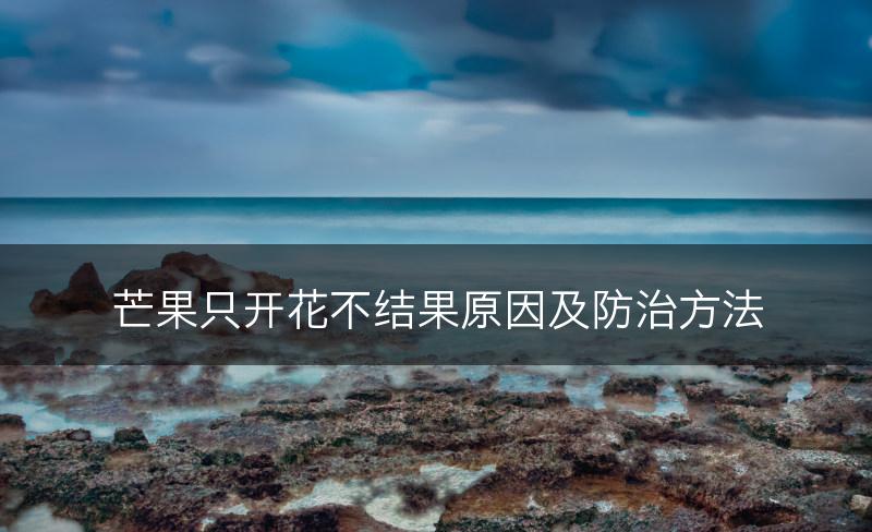 芒果只开花不结果原因及防治方法(图1)