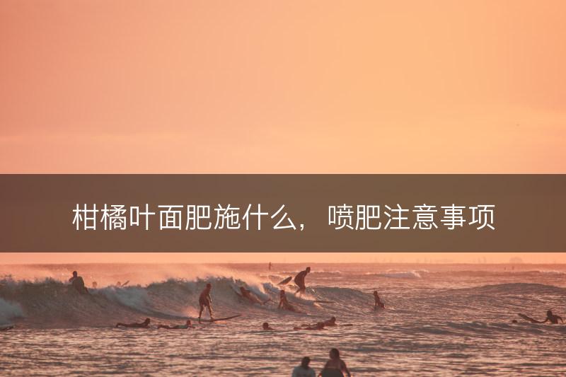 柑橘叶面肥施什么，喷肥注意事项(图1)