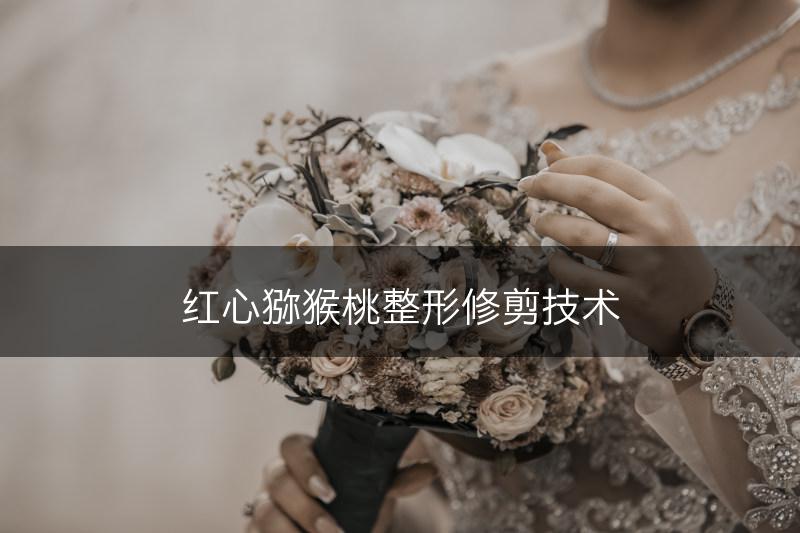 红心猕猴桃整形修剪技术(图1)