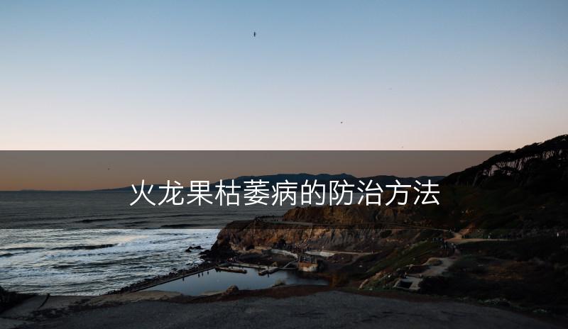 火龙果枯萎病的防治方法(图1)