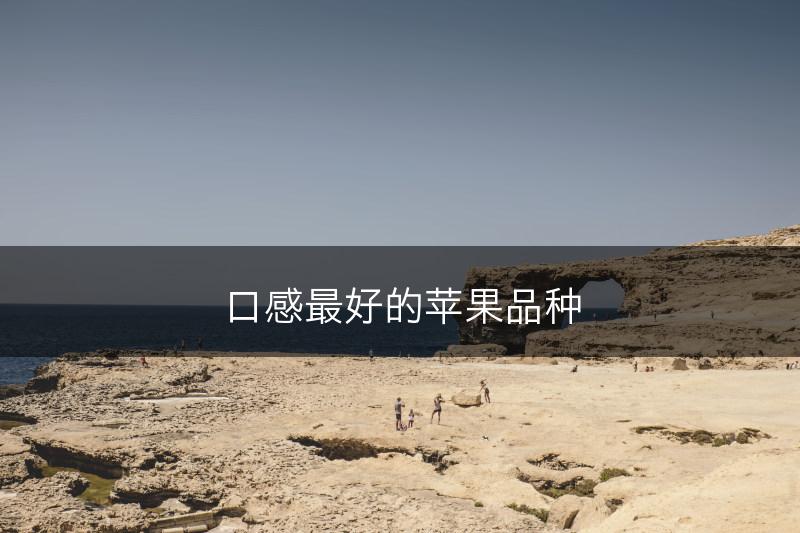 口感最好的苹果品种(图1)