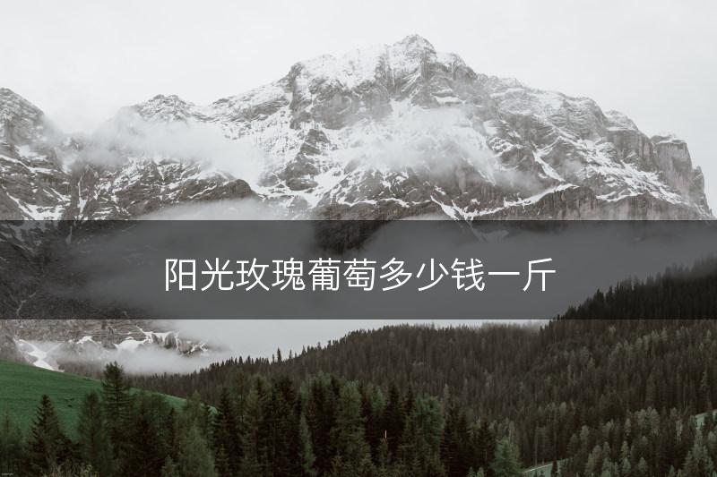 阳光玫瑰葡萄多少钱一斤(图1)