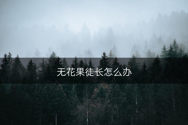 无花果徒长怎么办(图1)