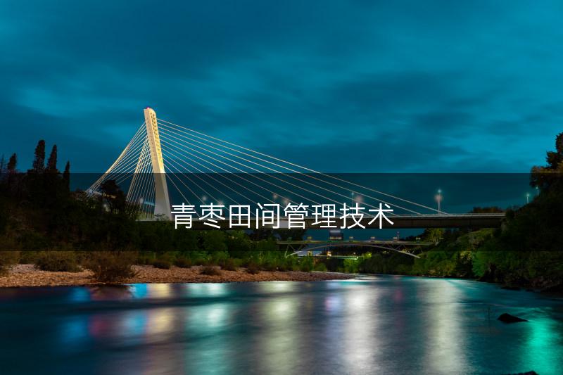 青枣田间管理技术(图1)