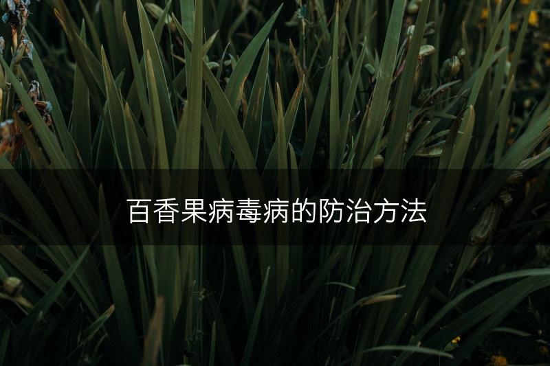 百香果病毒病的防治方法(图1)