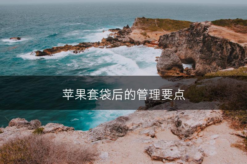 苹果套袋后的管理要点(图1)