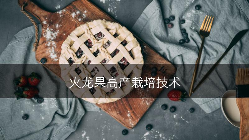 火龙果高产栽培技术(图1)