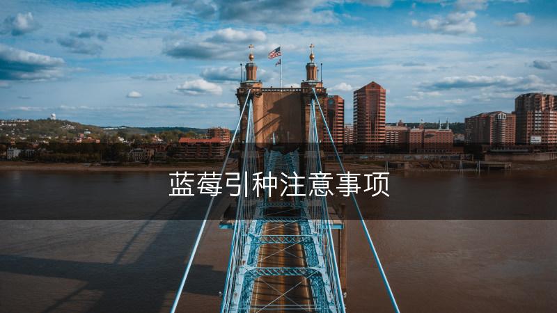 蓝莓引种注意事项(图1)