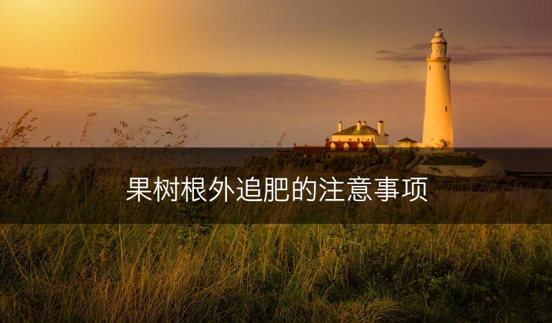 果树根外追肥的注意事项(图1)