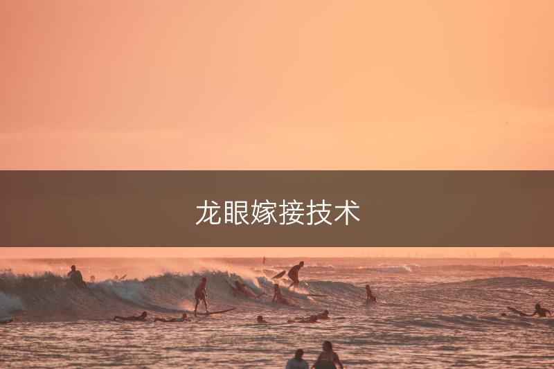 龙眼嫁接技术(图1)