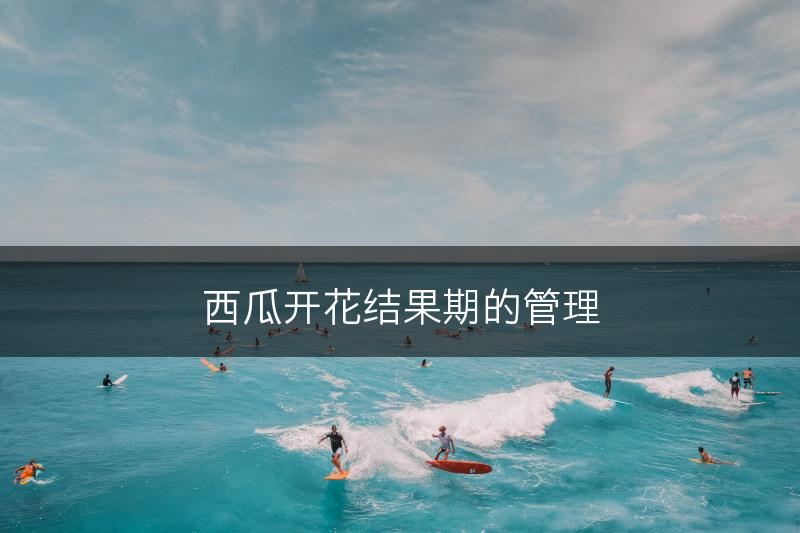 西瓜开花结果期的管理(图1)