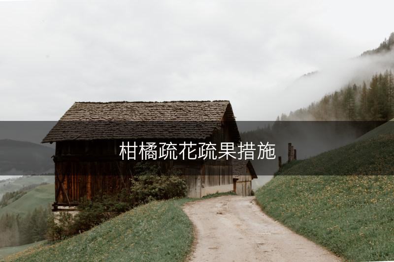 柑橘疏花疏果措施(图1)
