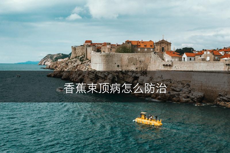 香蕉束顶病怎么防治(图1)