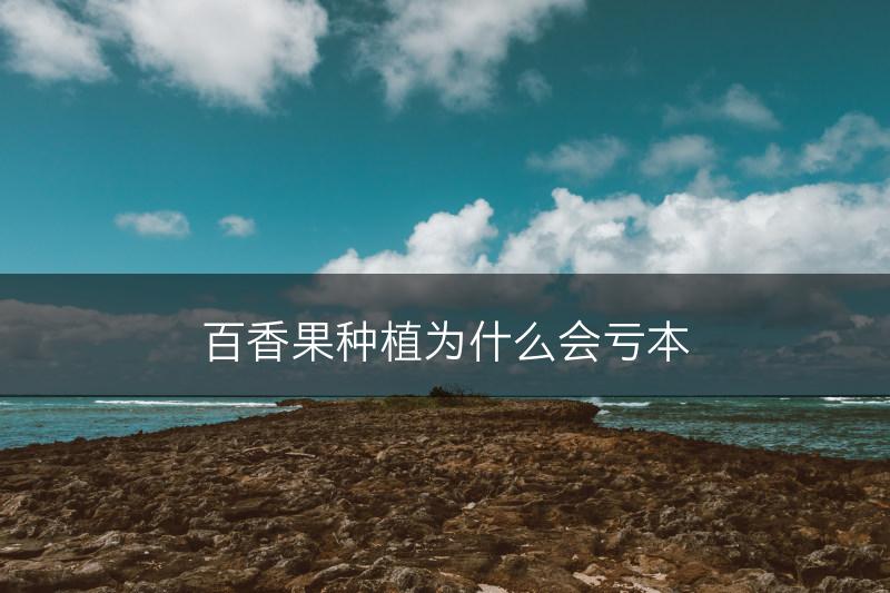 百香果种植为什么会亏本(图1)