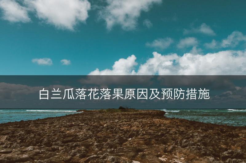 白兰瓜落花落果原因及预防措施(图1)