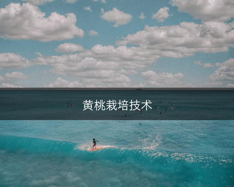 黄桃栽培技术(图1)